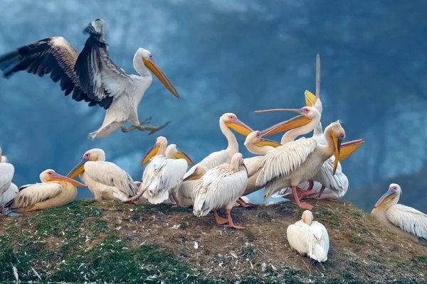 191018_5e16f91fc7607