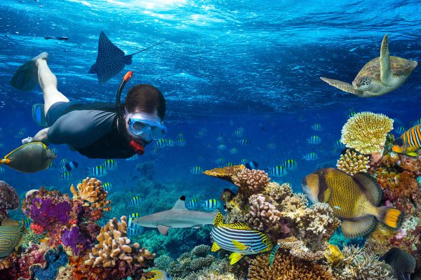 Snorkelling in maldives