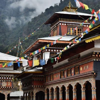 a2e2796a417b6ddd400172940721843f