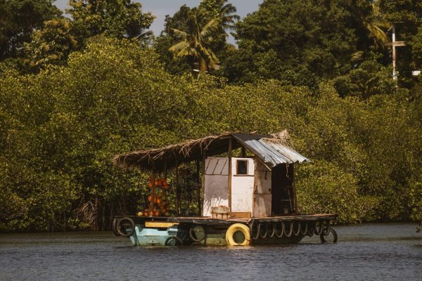 pexels-leefinvrede-18463834